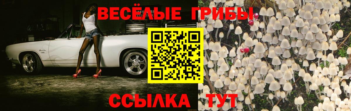 Галлюциногенные грибы прущие грибы  Вход с VPN  Кушва 