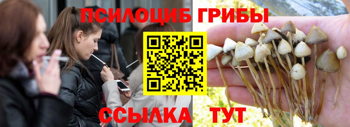 ГАШ  Меф МЯУ МЯУ  Кушва  Бошки Шишки  Экстази  МДМА  Вход с VPN  ГАШИШ  МЕФ кристаллы  МЕТАМФЕТАМИН 
